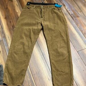 Mens BDG Urban Outfitters pants